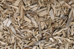 biomass boilers Teigh